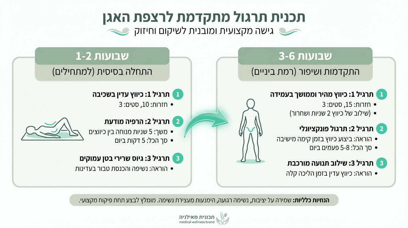 תכנית תרגול שבועית לרצפת האגן