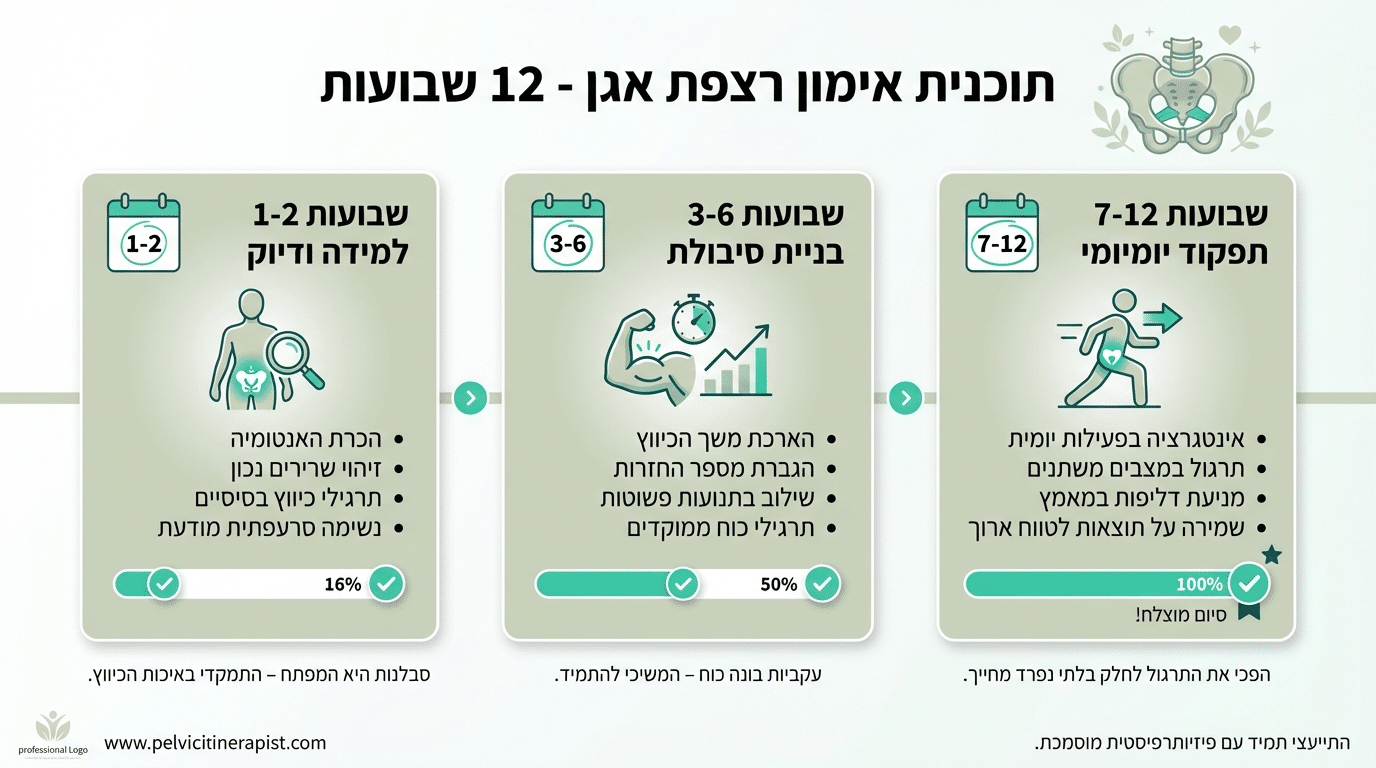 תכנית אימון קיגל ל-12 שבועות ממתחילים למתקדמים