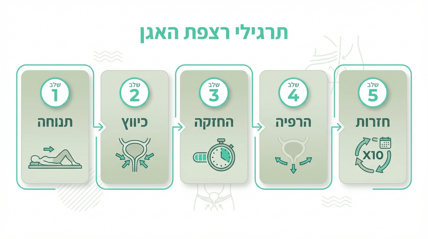 פרוטוקול תרגילי קיגל לגברים שלב אחרי שלב