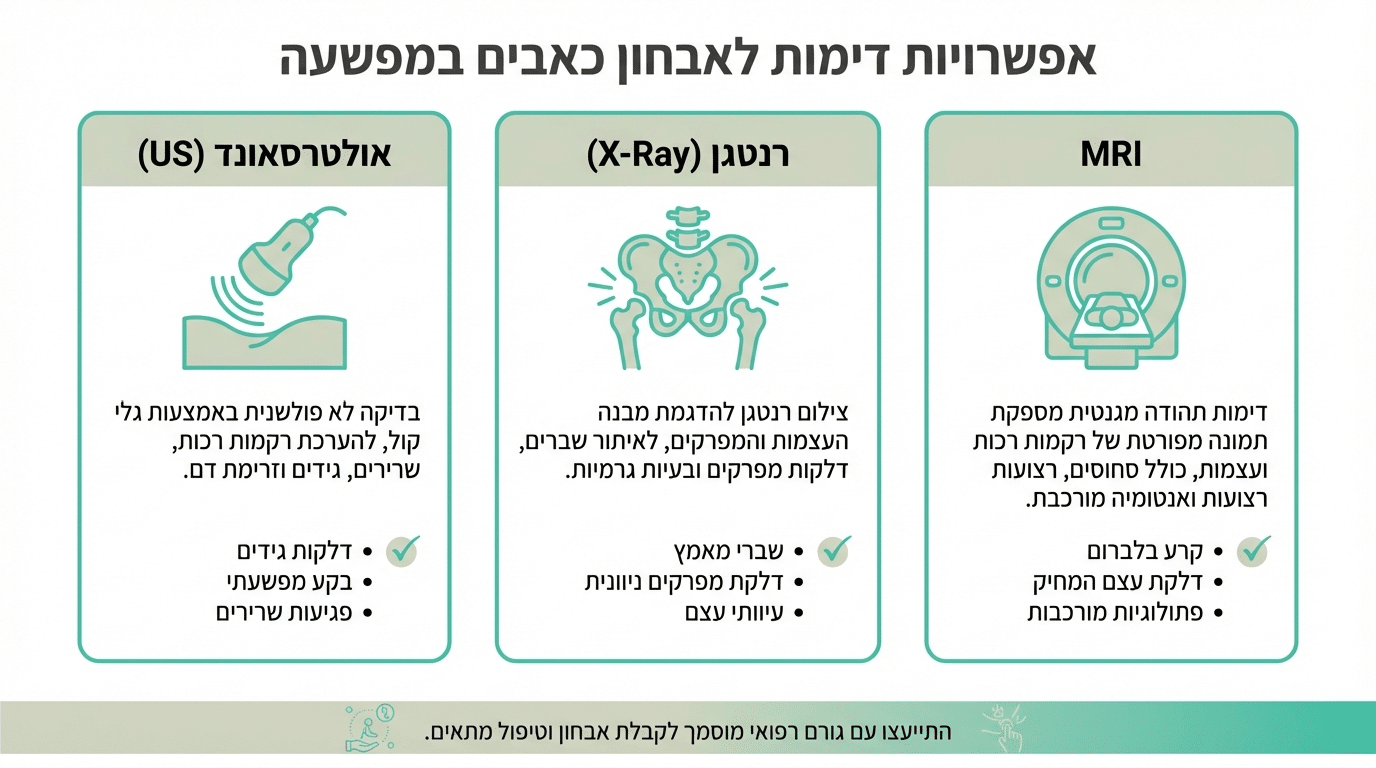 בדיקות לכאב במפשעה - אולטרסאונד ו-MRI